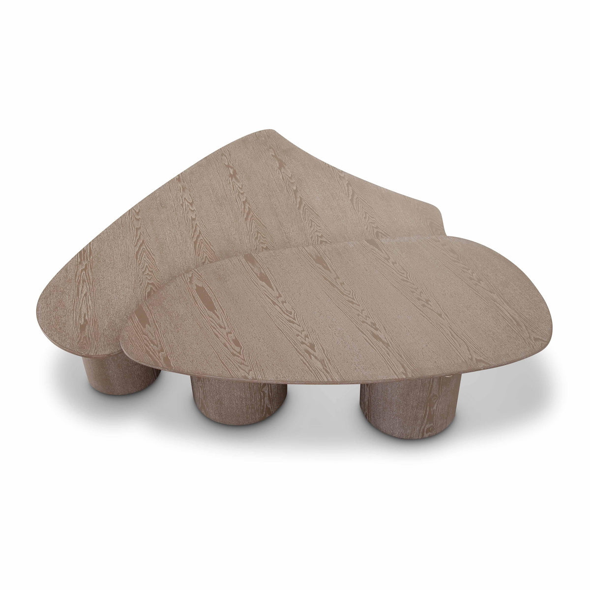 Rhema 2-Piece Washed Ash Nesting Coffee Table Set by TOV Furniture – photo 4 of 9