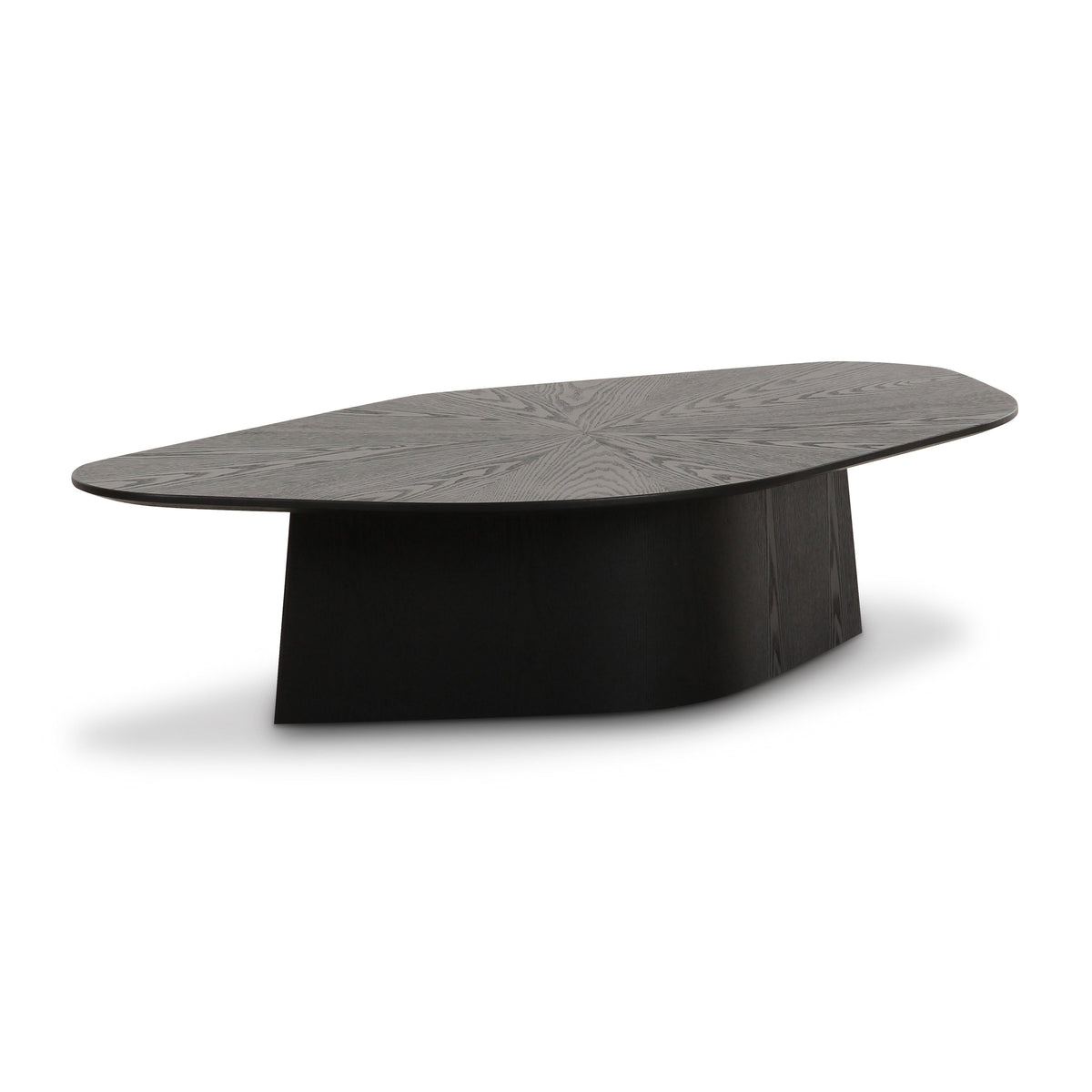 Roche Black Ash Low Coffee Table by TOV Furniture – photo 1 of 9