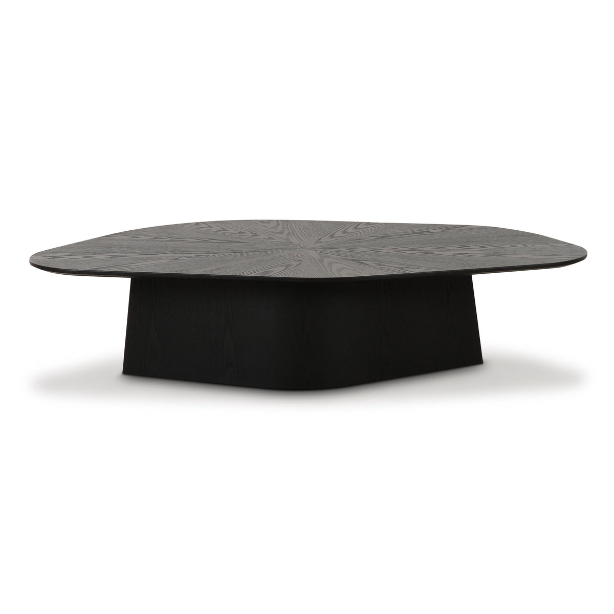 Roche Black Ash Low Coffee Table by TOV Furniture – photo 3 of 9