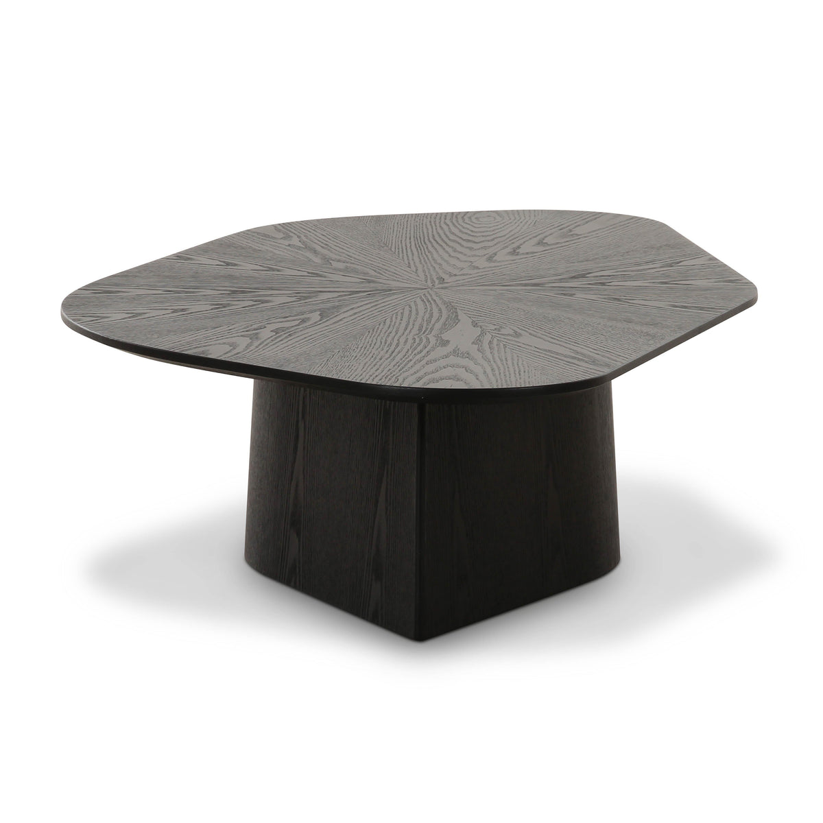 Roche Black Ash Low Coffee Table by TOV Furniture – photo 4 of 9