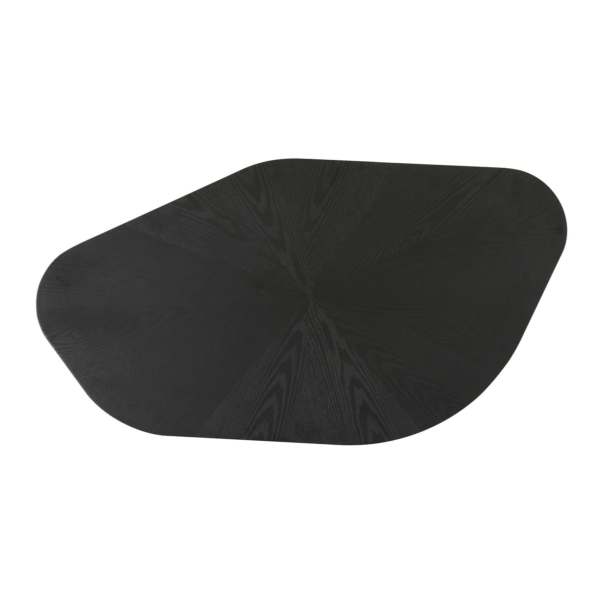 Roche Black Ash Low Coffee Table by TOV Furniture – photo 5 of 9