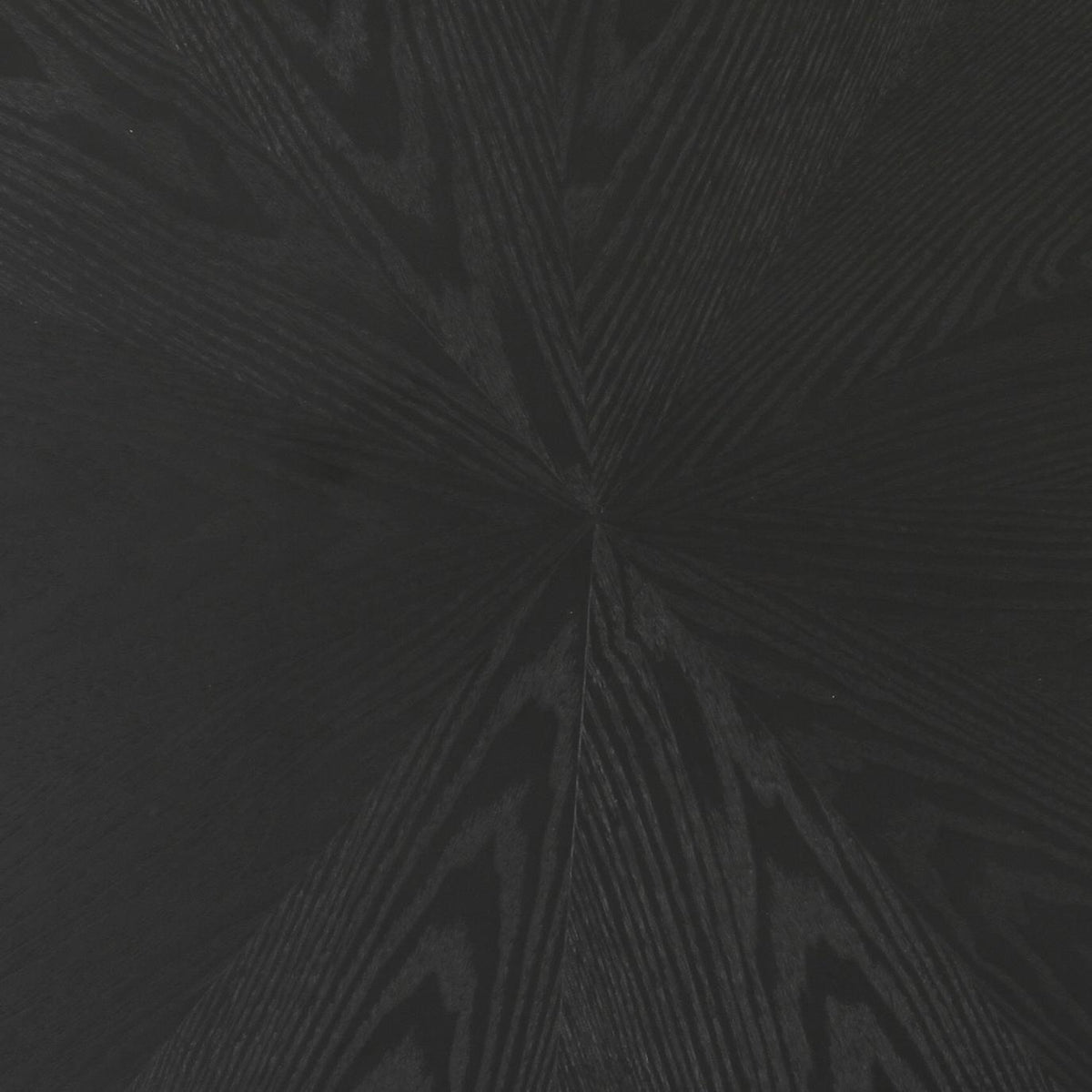 Roche Black Ash Low Coffee Table by TOV Furniture – photo 8 of 9