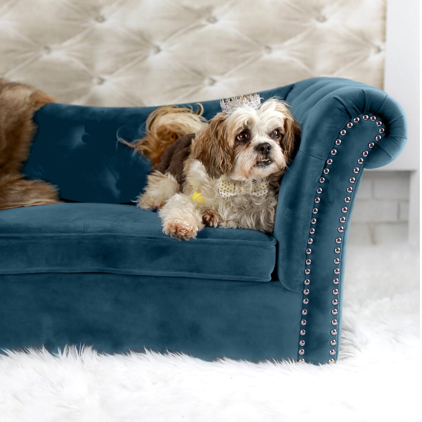 Dachshund Velvet Pet Bed by TOV P2034 G