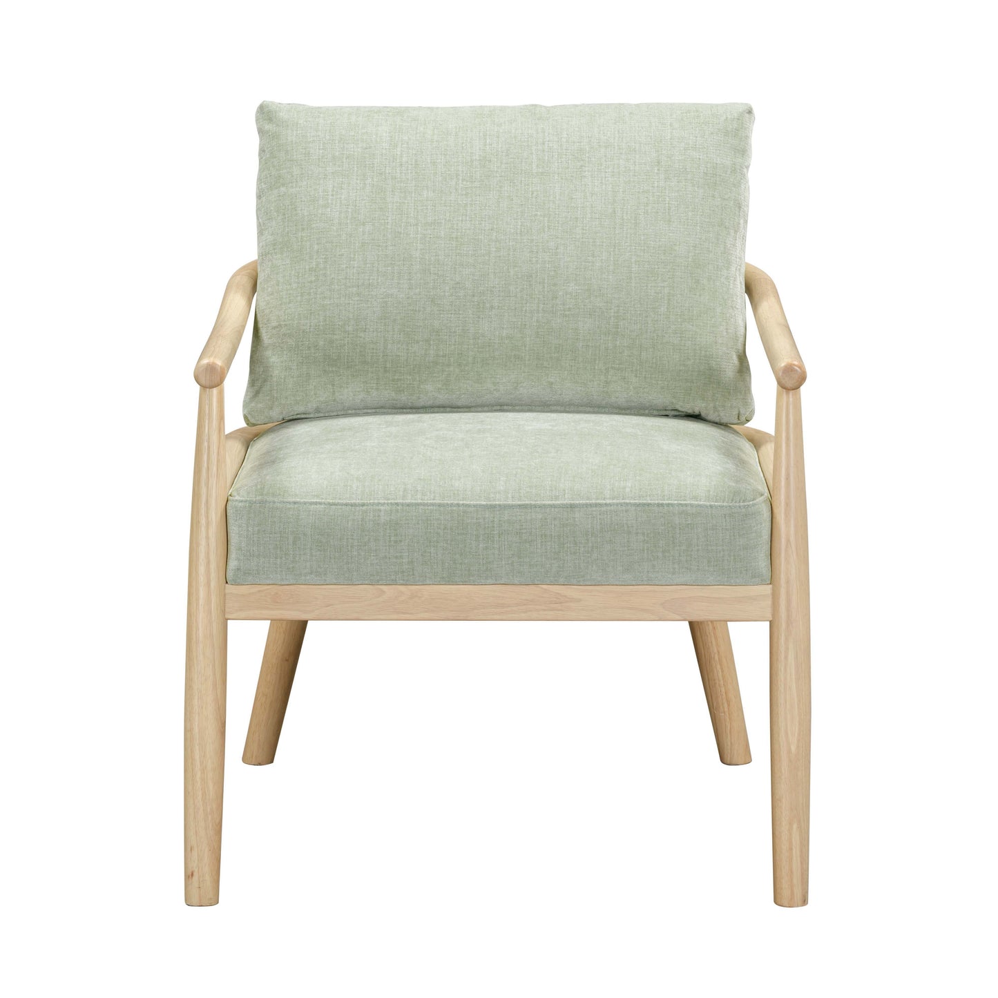 Dixie Performance Chenille Velvet Accent Chair Mint Green by Tov Furniture