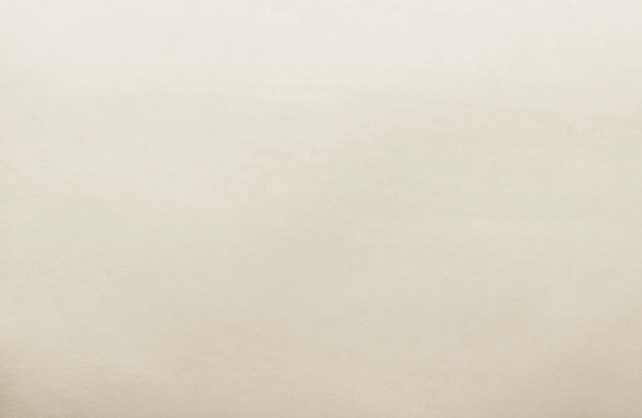 Avery Velvet Accent Chair by TOV S6304