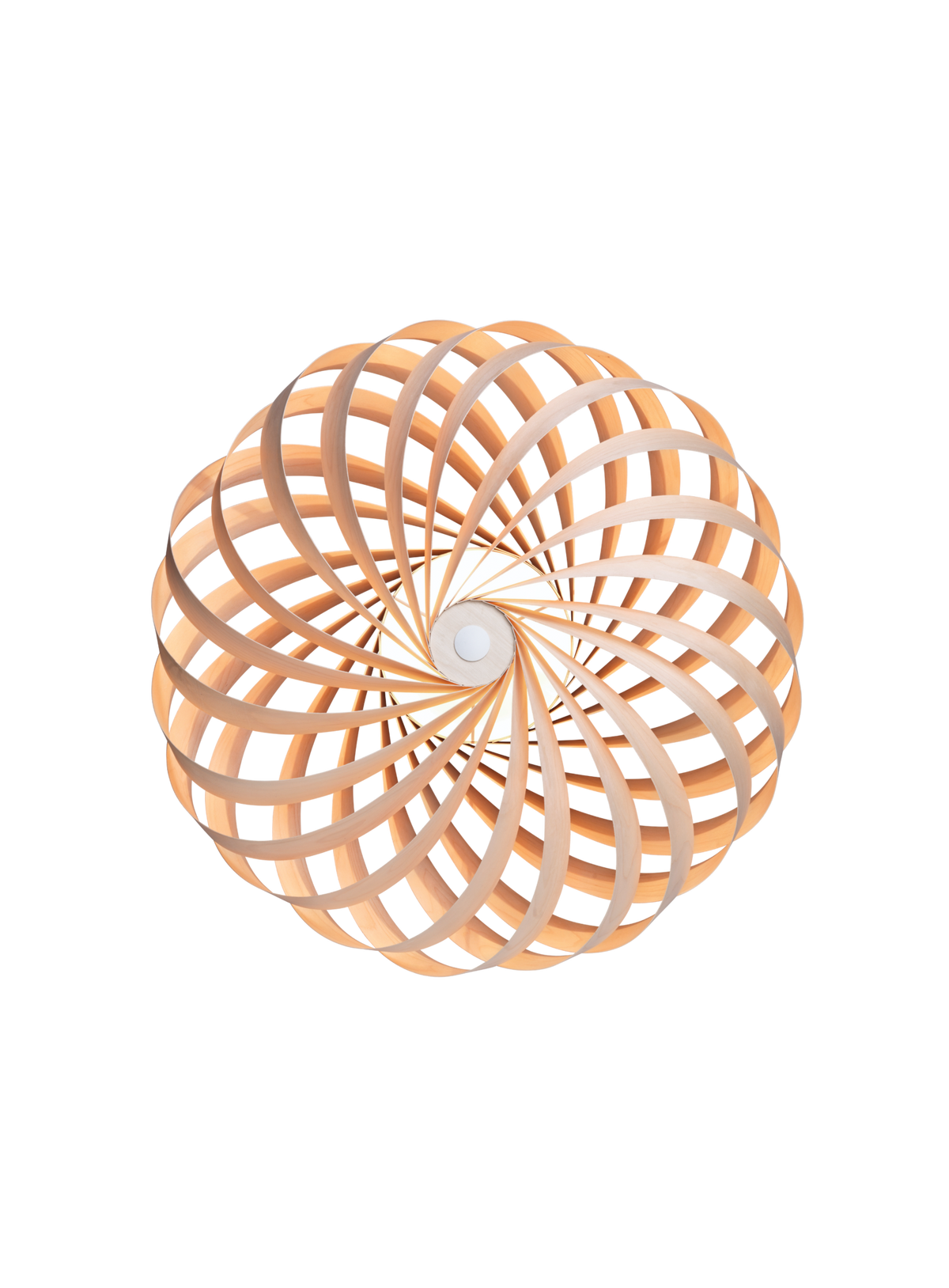 Tom Rossau TR5 wall light – Natural Birch, 23.6 in, front view