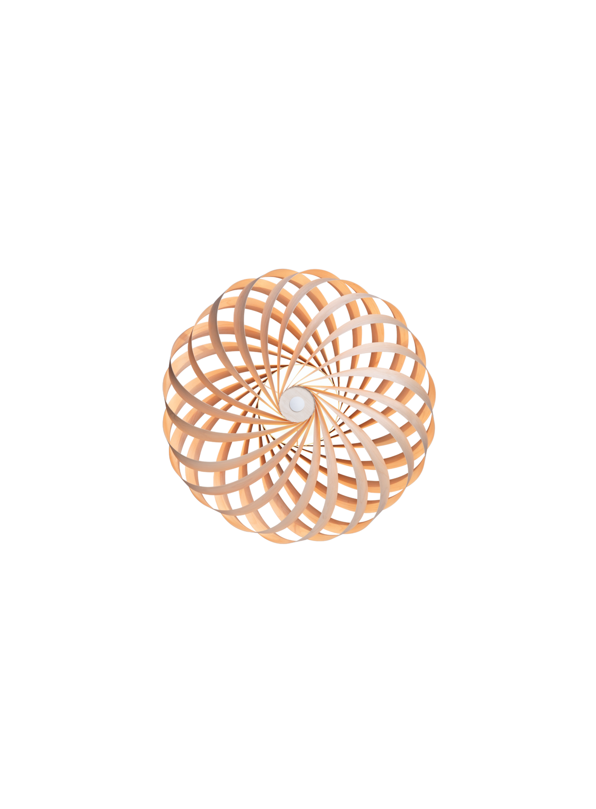 Tom Rossau TR5 wall light – Natural Birch, 15.75 in, front view