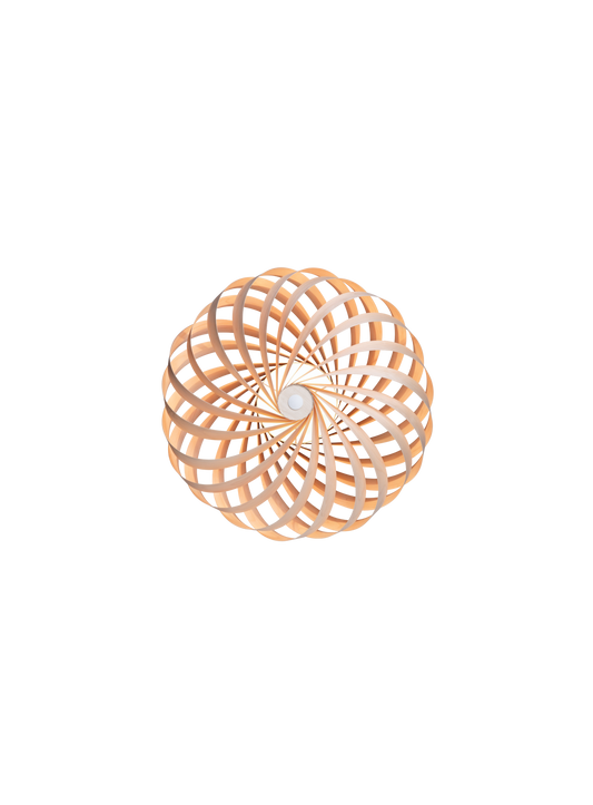 Tom Rossau TR5 wall light – Natural Birch, 15.75 in, front view
