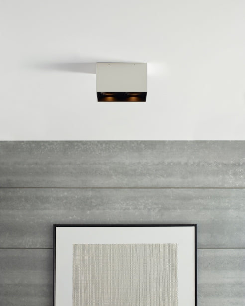 10-inch Exo Dual LED Adjustable Downlight by Visual & Comfort & Co