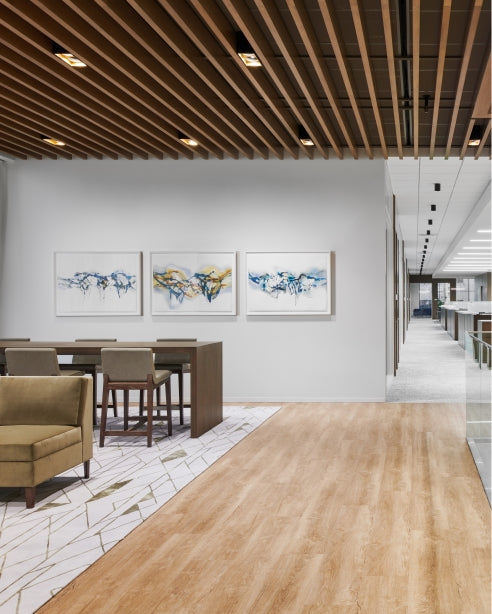 10-inch Exo Dual LED Adjustable Downlight by Visual & Comfort & Co