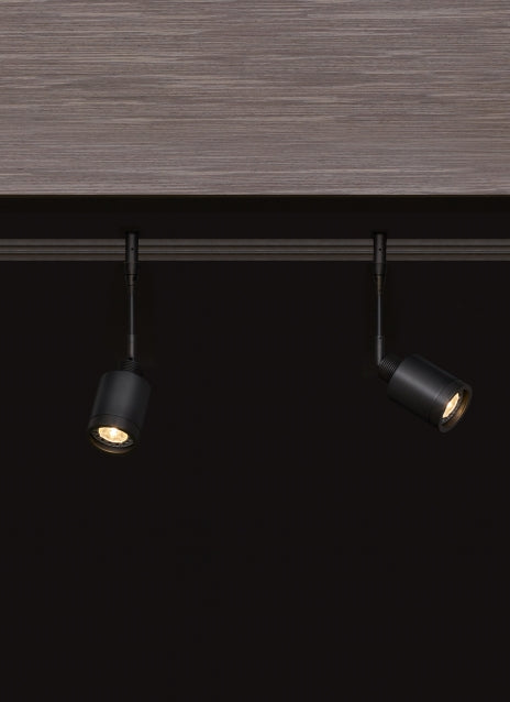 Tellium Directional Display Head Mr16 Track Lighting by Visual & Comfort & Co