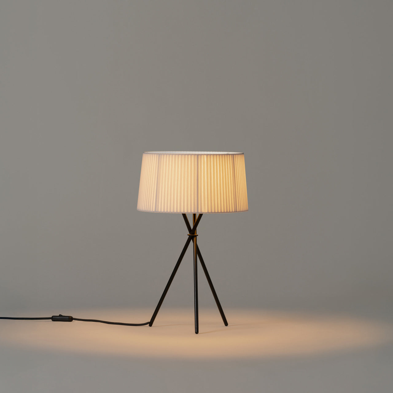 Contemporary indoor lamp with natural ribbon shade