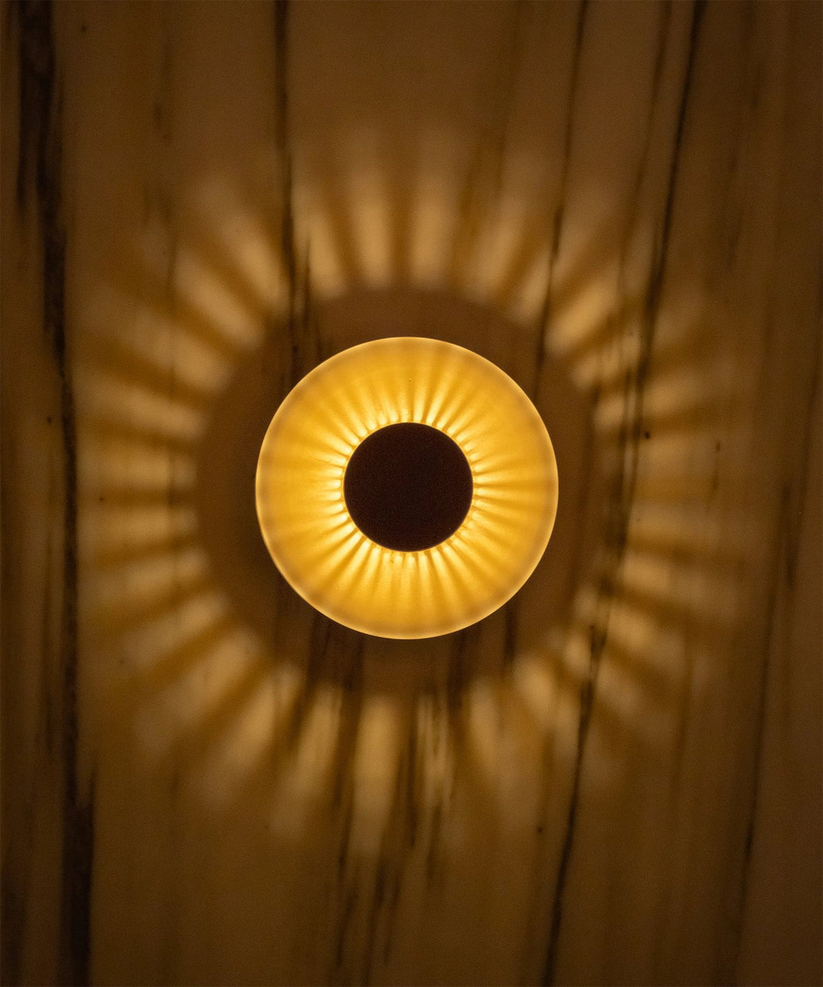 Humble Firefly Cordless Table Lamp by Humble, Bronze with Frosted Shade (image 10)