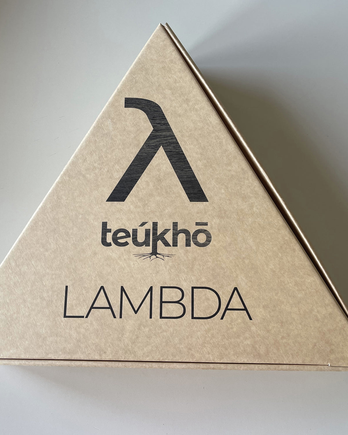 Teukho Lambda fossil oak LED table lamp gift box with the λ logo