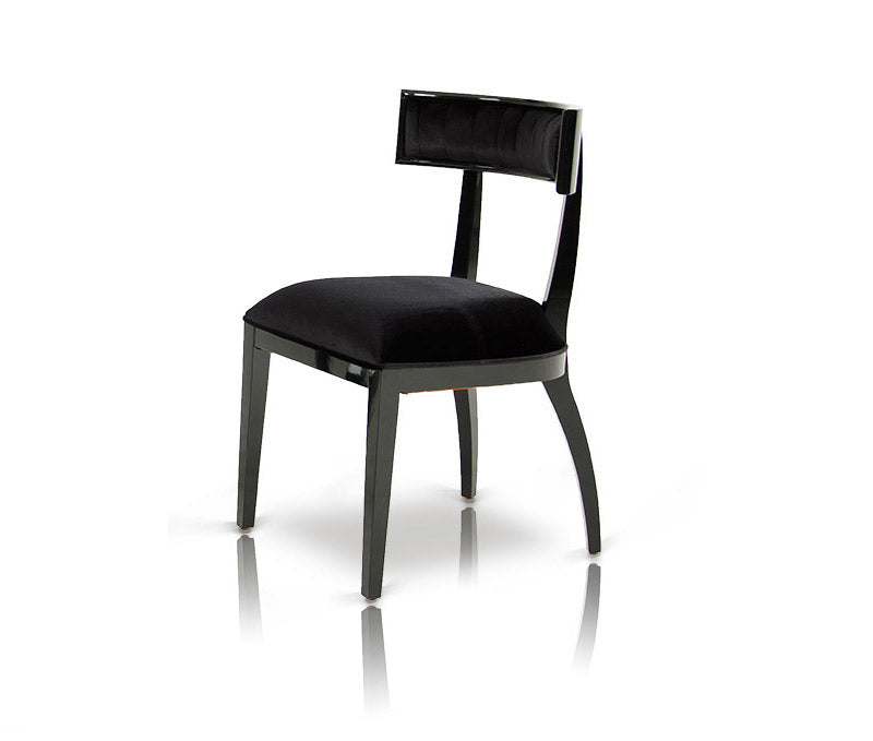 Alek Modern Black Dining Chair Set of 2