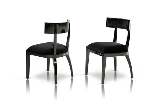 Alek Modern Black Dining Chair Set of 2