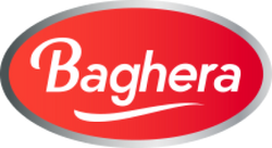 Baghera logo