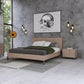 Queen Nova Domus Boston Modern Brown Oak and Brushed Stainless Steel Bed
