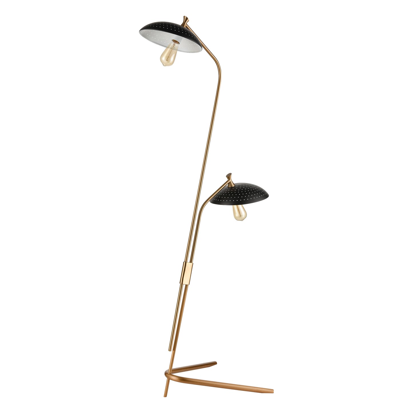 Scarab 66" 2-Light Floor Lamp Satin Brass by Elk