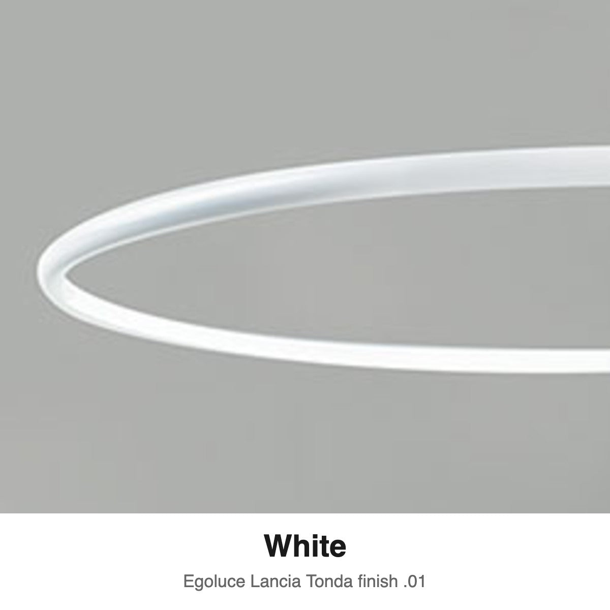 Egoluce Lancia Tonda finish swatch: White (.01)