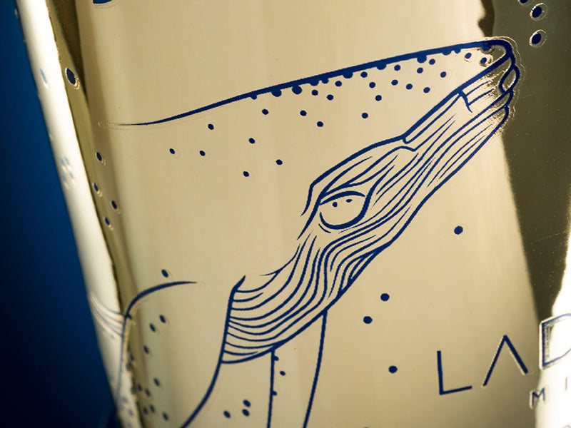 Ladenac Milano Colapesce advent calendar, close-up of the gold box illustration
