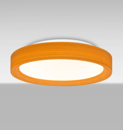Besa Pella 16 Oak glass lit from below, angled view
