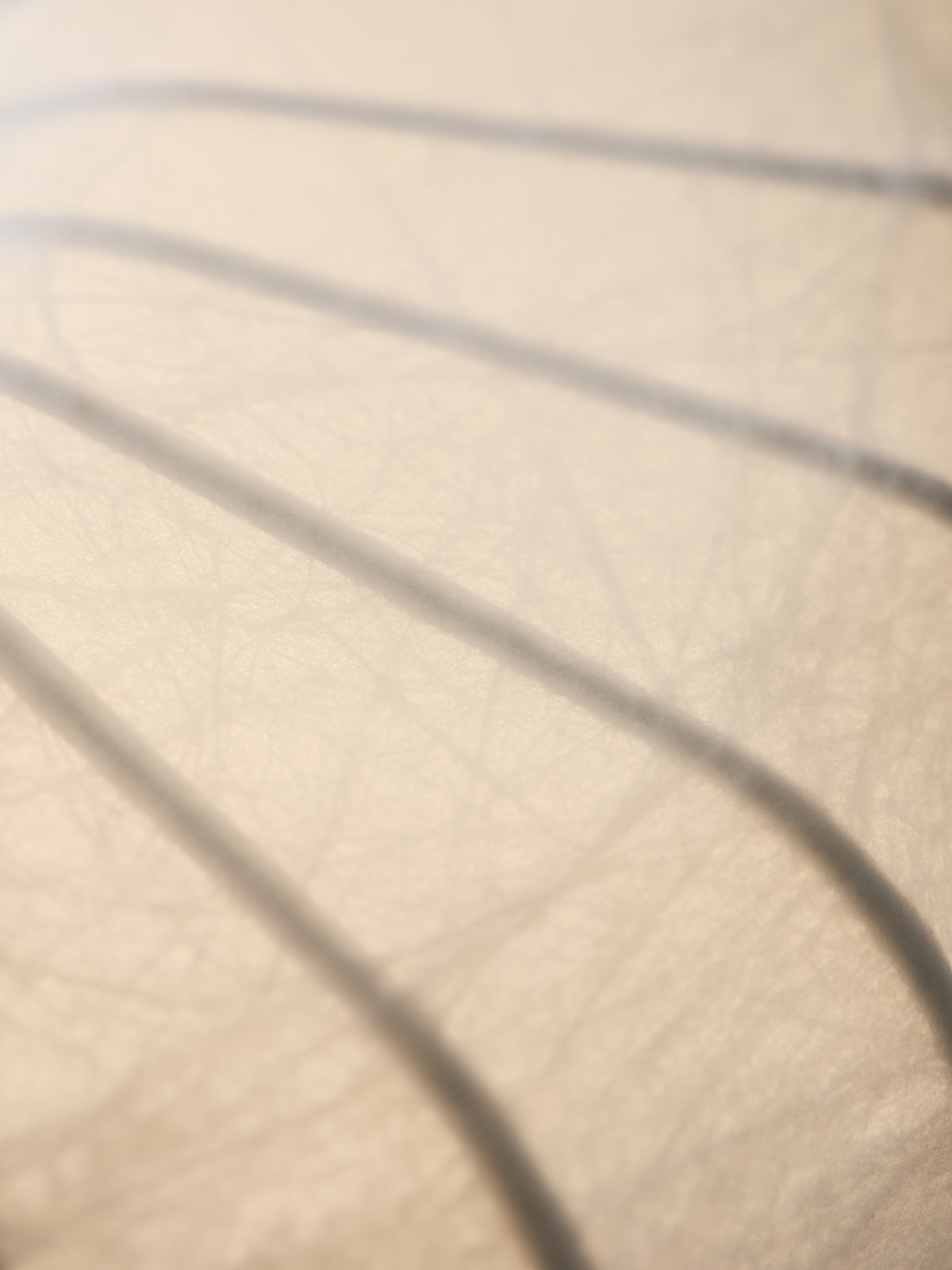 Pholc Meter cocoon floor lamp by Maria Bruun and Anne Dorthe Vester – several finishes, studio view (2)