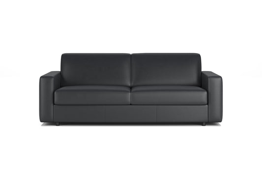 Innovation Living Carnell Leather Queen Sofa Bed with Standard Arms in Iowa Leather 710, product photo – view 1
