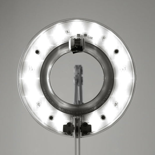 Pablo Designs Link Table Clamp Medium Table Lamp manufacturer photometric and specification reference