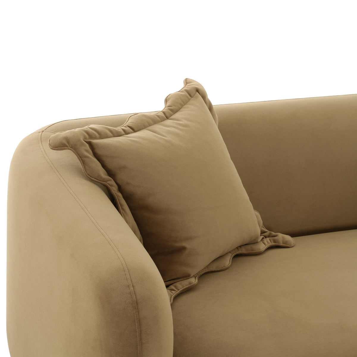 Lou 71.5" Cafe Au Lait Performance Velvet Loveseat by TOV Furniture – photo 4 of 5