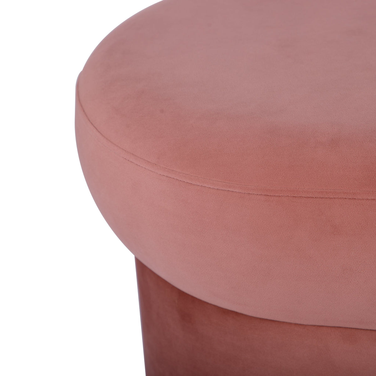 Andrea Salmon Performance Velvet 50" Storage Bench by TOV Furniture – photo 7 of 8