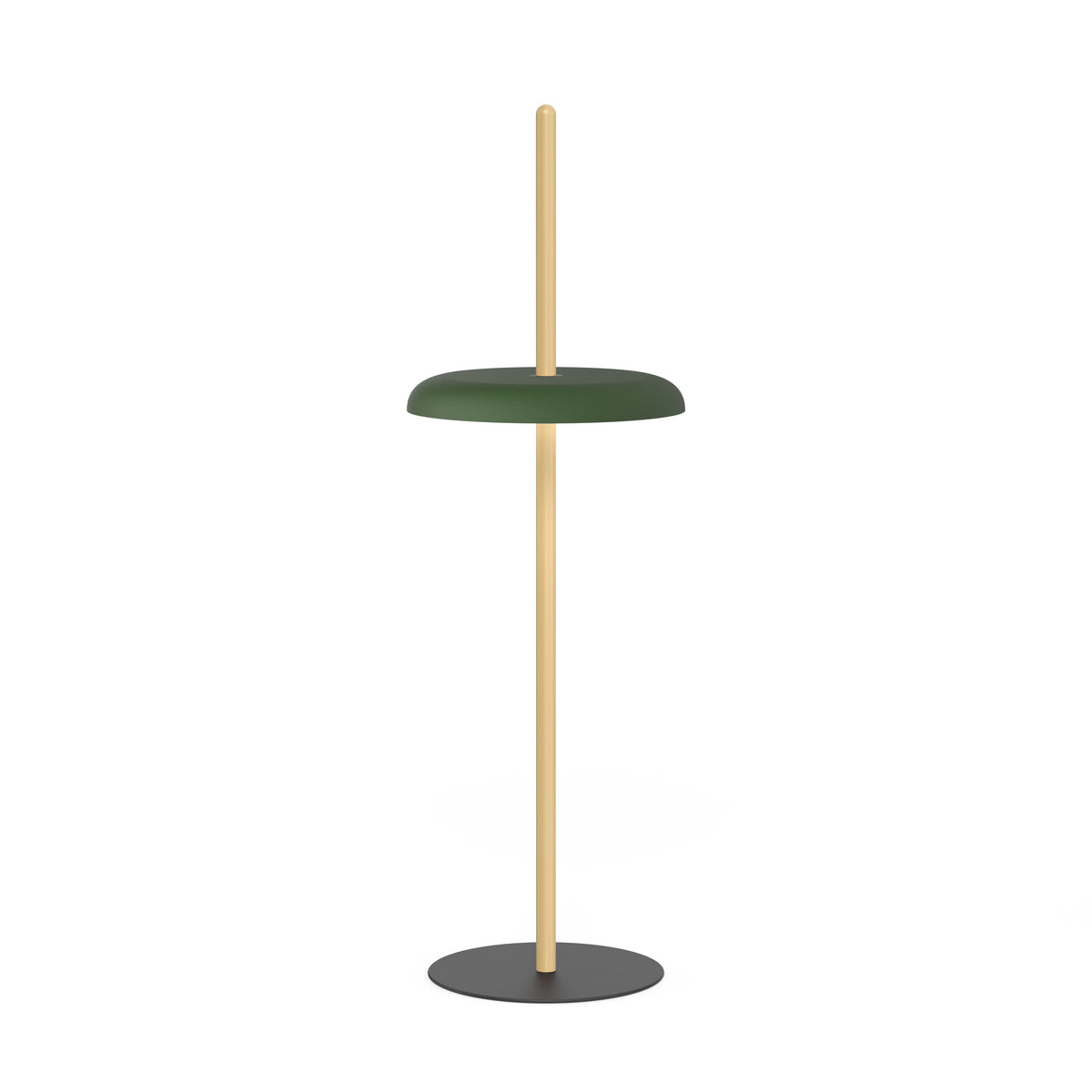 Pablo Nivél Cordless LED Floor Lamp in Oak, Forest Green