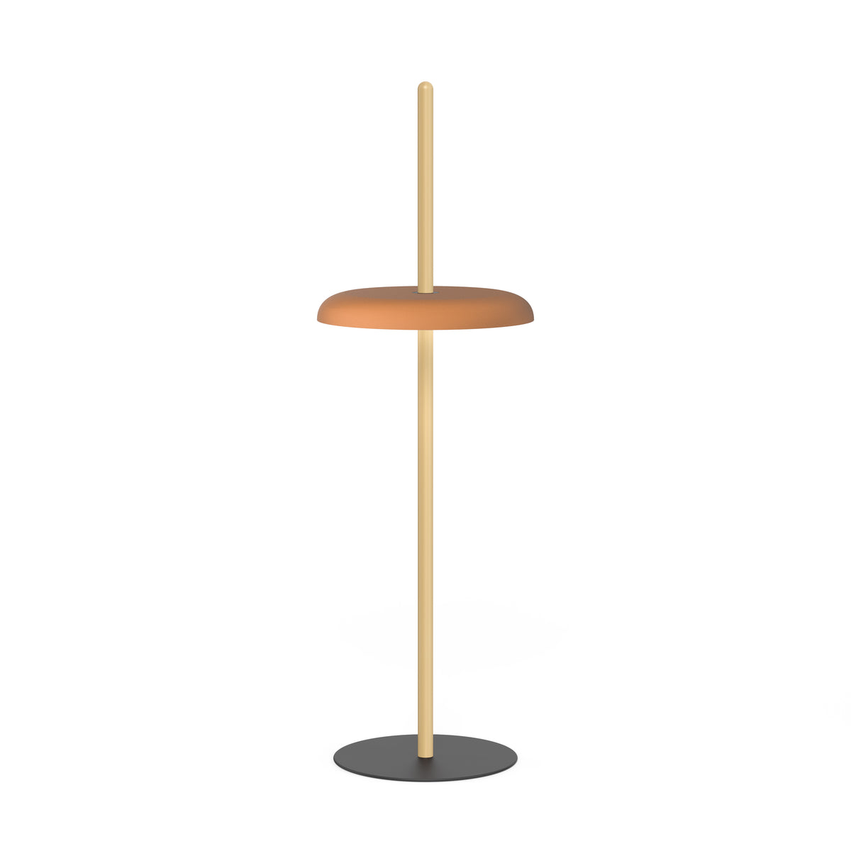 Pablo Nivél Cordless LED Floor Lamp in Oak, Terracotta