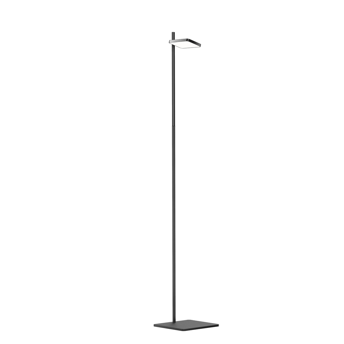 Pablo Talia LED Floor Lamp in Black