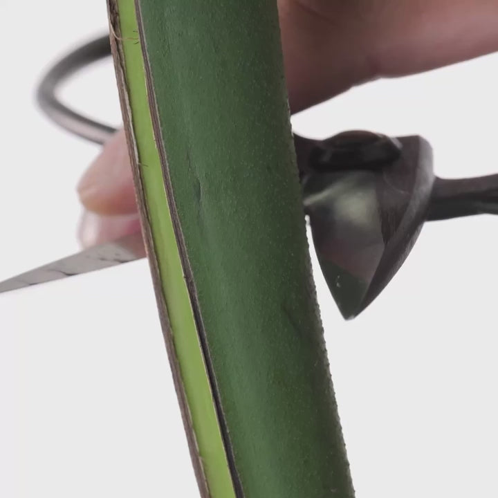 Video: Toyama Hamono T1 in use