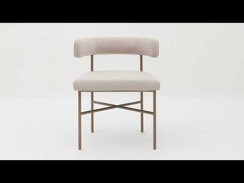 Video: Kim Performance Velvet Dining Chair from TOV Furniture