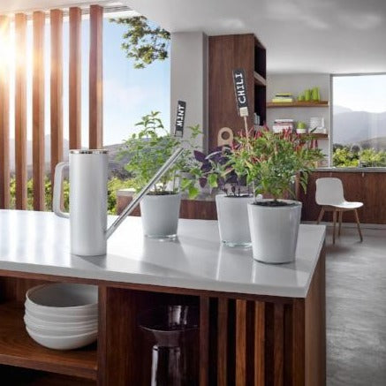Watering Can Multiple Colors Blomus 65409