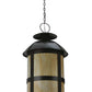 22" Altamire Hanging Lantern Pendant by 2nd Ave Lighting