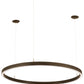 48" Anillo Halo Pendant by 2nd Ave Lighting