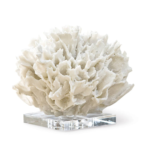 Regina Andrew Ribbon Coral in White