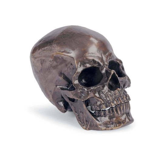 Regina Andrew Metal Skull in Antique Bronze