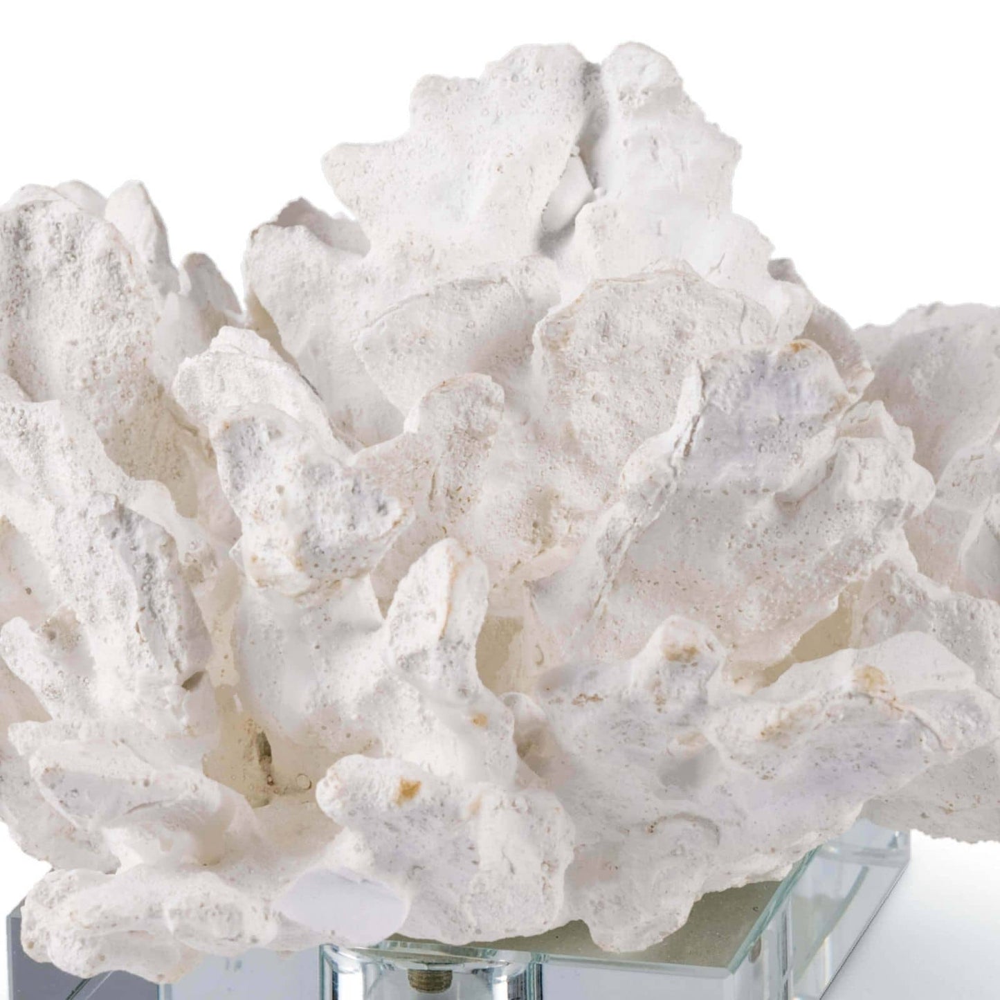 Regina Andrew Flower Coral On Crystal Base in White