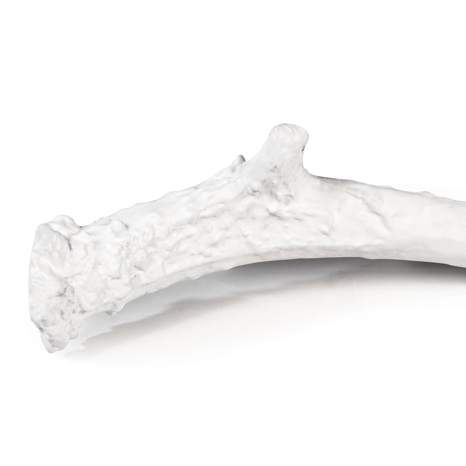 Regina Andrew Antler Objet Large in White