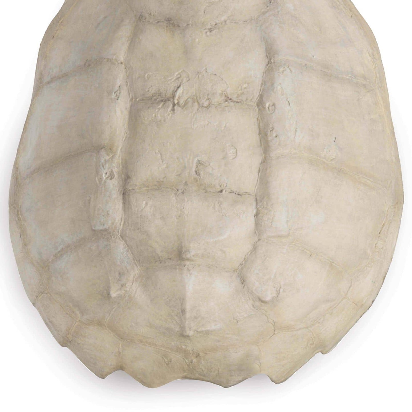 Regina Andrew Turtle Shell Accessory in Bleached