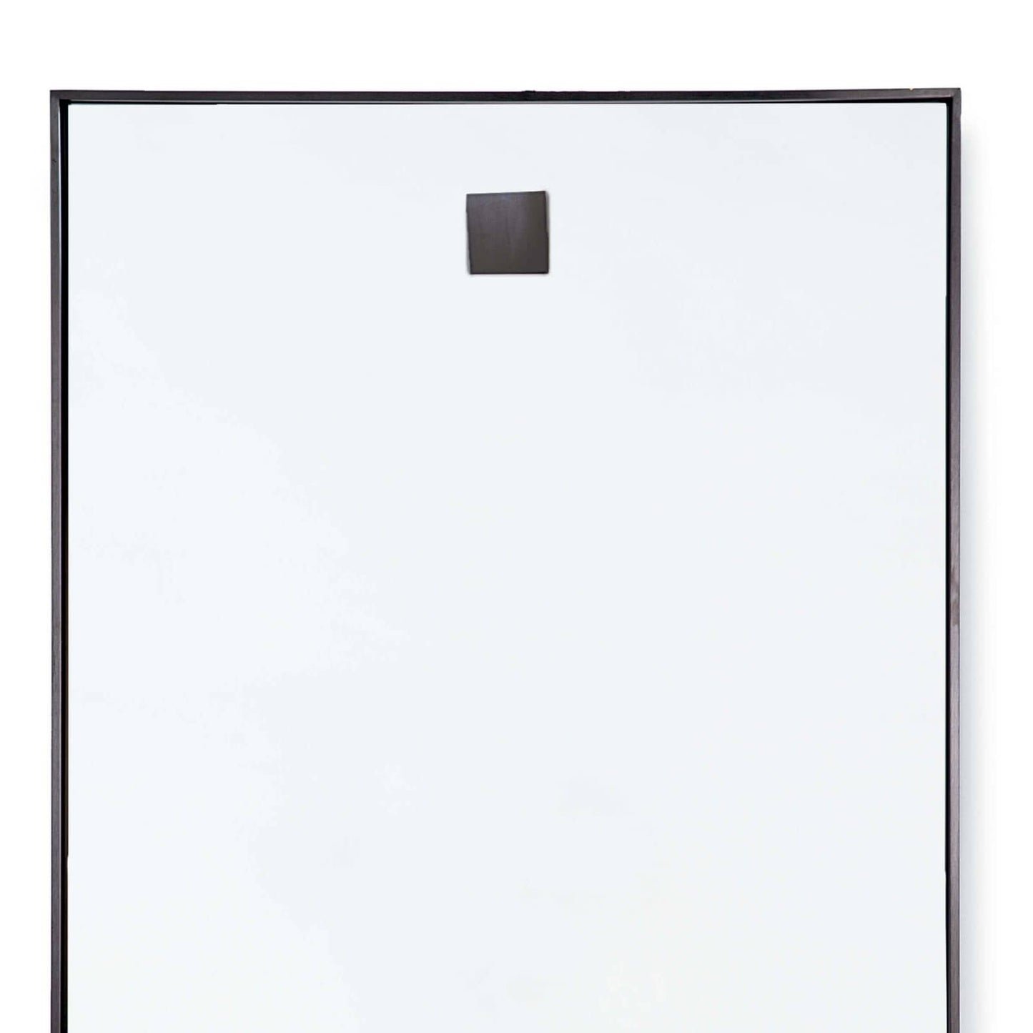 Regina Andrew Hanging Rectangle Mirror in Steel