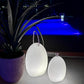 Smart and Green Amande Cord Bluetooth Table Lamp LED