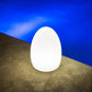 Smart and Green Egg Bluetooth Cordless LED Lamp