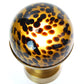 Modern Lantern Cordless Lamp Mini Tortoise Glass Antique Brass