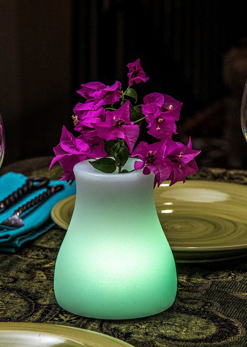 Smart and Green Olio Bluetooth Cordless LED Lamp