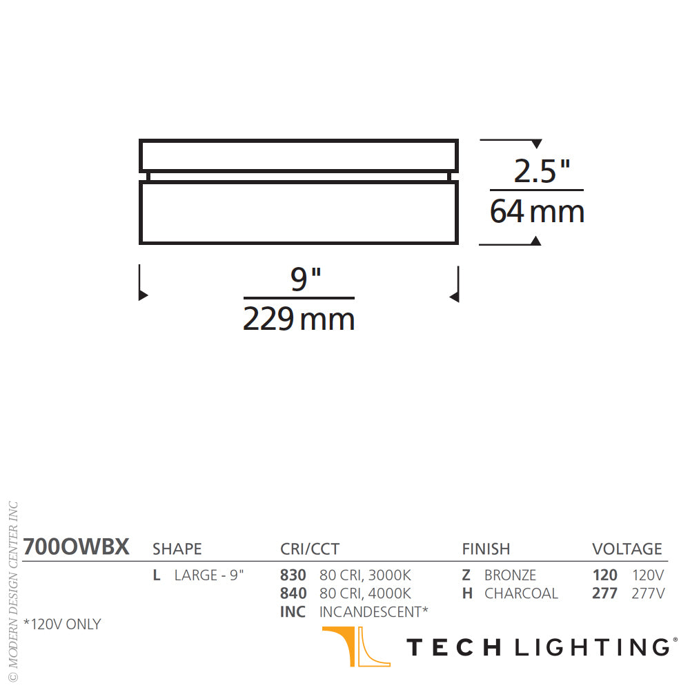 Tech Lighting Boxie Large LED Outdoor Wall/Ceiling by Visual Comfort